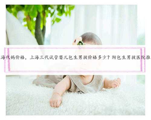找上海代妈价格，上海三代试管婴儿包生男孩价格多少？附包生男孩医院推荐？