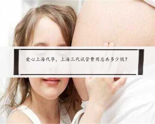 爱心上海代孕，上海三代试管费用总共多少钱？