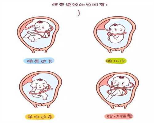 上海代孕-上海代孕的三种方式-上海代孕的孩子健